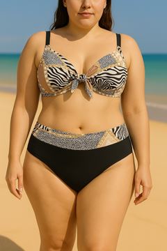 Picture of PLUS SIZE BIKINI TUMMY CONTROL HIGH WAISTED